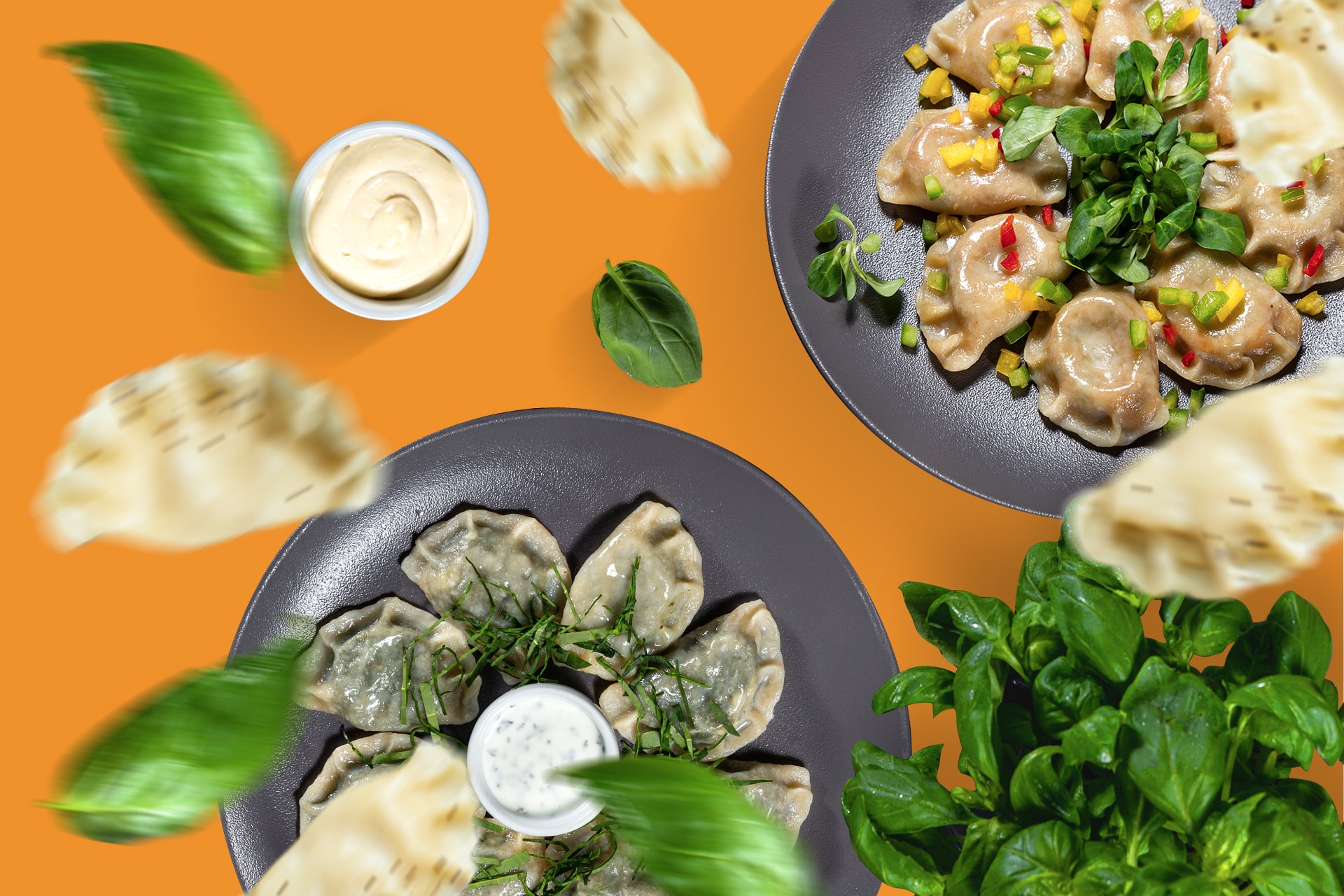 Social Food — zamawiaj jedzenie online